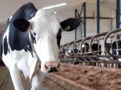 Какое оборудование применяется на фермах?