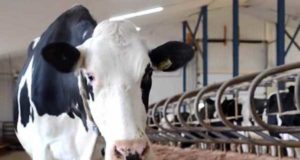 Какое оборудование применяется на фермах?