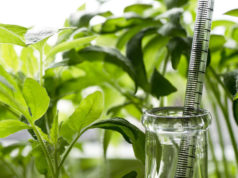 Регуляторы роста и как правильно ими пользоваться