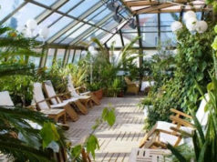 Правила для оформления и создания зимних садов