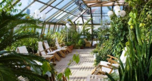 Правила для оформления и создания зимних садов