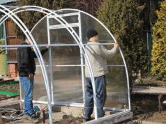 Особенности выбора теплицы для своего участка, как сделать правильный выбор?