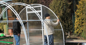 Особенности выбора теплицы для своего участка, как сделать правильный выбор?