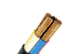 Как и где используют кабель ППГнг-FRHF?