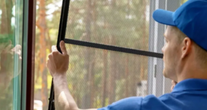 Зачем нужна москитная сетка?