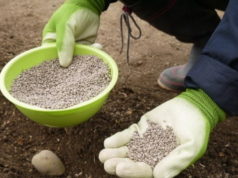 Карбамид: особенности и преимущества