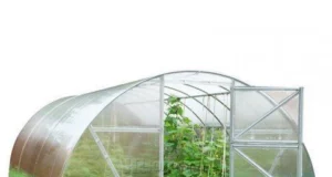 Теплицы из поликарбоната: особенности и преимущества