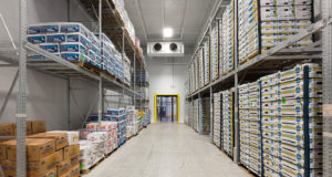 Особенности типовых проектов холодильных складов