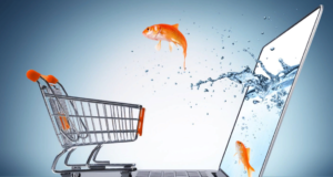 Покупка сантехники в интернете: особенности и преимущества