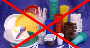 Россия откажется от пластика