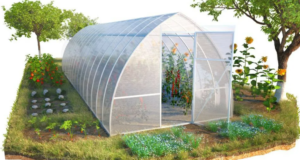 Как выбрать теплицу?