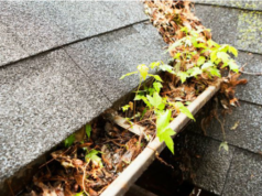 Руководство по очистке водосточных желобов и тому, как это может улучшить ваш дом