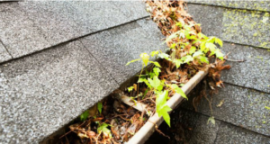 Руководство по очистке водосточных желобов и тому, как это может улучшить ваш дом