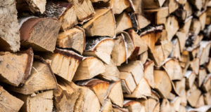 Какие дрова нужны для печки в доме или на даче?