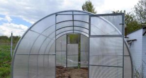 Теплица 3 на 3: особенности и преимущества