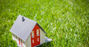 Амнистия на землю: что нужно знать?