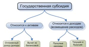 Государственная субсидия: что нужно знать?