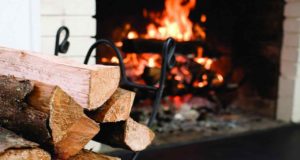 Колотые дубовые дрова