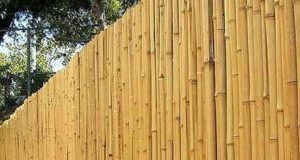 Бамбуковый забор