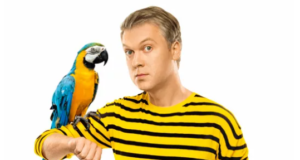 Как выбрать тариф на Билайн?