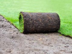 Преимущества рулонного газона