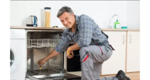 Профессиональный ремонт посудомоечной машины