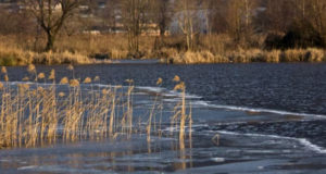 Реку Райну расчистят во Владимирской области