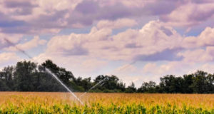 Оросительную систему реконструируют в Саратовской области