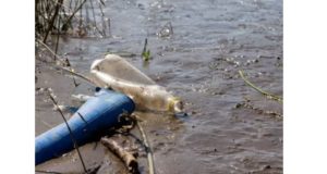 Во Владимирской области расчистят участок реки Тальша