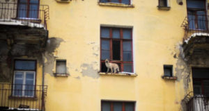 Более 140 человек переезжают из аварийного жилья в Марий Эл