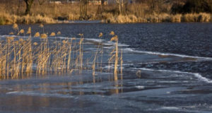Как во Владимирской области расчистят реку Колокша