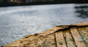 В Подмосковье отремонтируют плотину на ручье Сухая Любинка