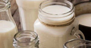 В Архангельской области откроется молочно-товарная ферма