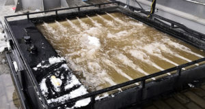 Снегосплавный пункт в районе Перово оформлен в Росреестре