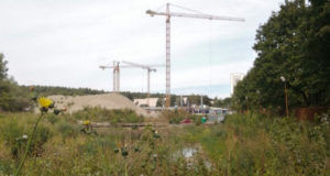 Участок бывшей промзоны Грайвороново будет реорганизован