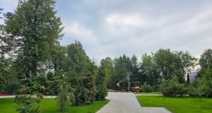 Благоустройство парка у озера Киово проходит в Лобне