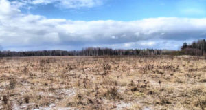 Кому из застройщиков земли мало?