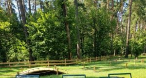 Gas&Go: Уникальный детский джиппинг теперь в Парке Раздолье!