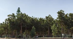 В Черноголовке идут работы по благоустройству территории вблизи озера Южное