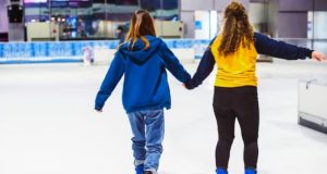 Ледовый дворец «Сокольники» и четыре спорткомплекса поставлены на кадастровый учет