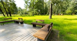 Фрязинский лесопарк готовится к открытию