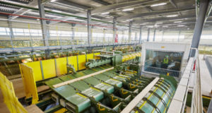 Лесозавод «Судома» увеличивает присутствие на внутреннем рынке