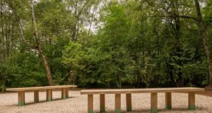 Лесопарк Гальчино в г.о. Домодедово готовится к открытию