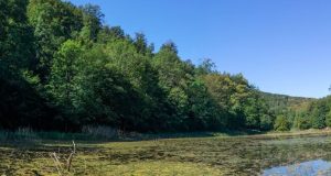 В Татарстане за 1,5 млн расчистят русло реки Шурнячки