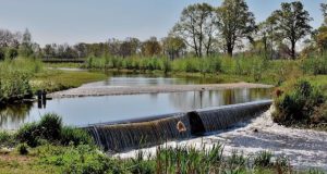 В Алтайском крае реконструируют плотину на Сорокинском пруду