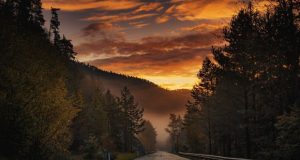 Запущено движение на двух крупных дорожных объектах РФ