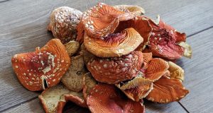 Польза красного сушенного мухомора