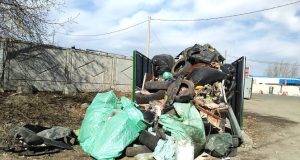 Мусорные полномочия отдадут регионам?