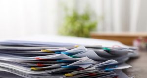 Понятие мастер-плана могут законодательно закрепить к лету 2024 года