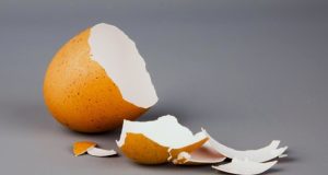 Сказ о том, как чиновники из-за аренды судились